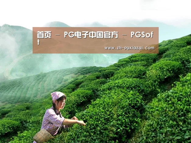 首页 - PG电子中国官方 - PGSoft