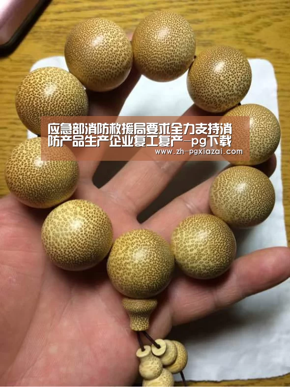 pg下载
