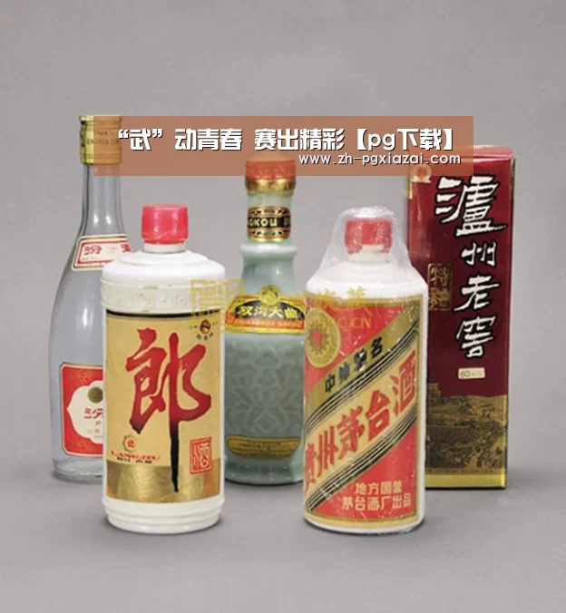 “武”动青春 赛出精彩【pg下载】(图2) pg下载