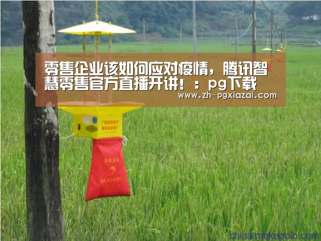 pg下载
