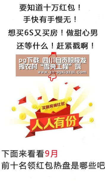 pg下载