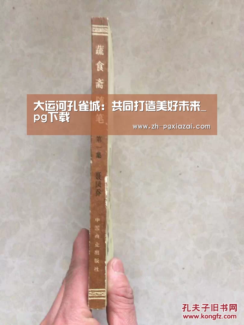 大运河孔雀城:共同打造美好未来_pg下载(图2) pg下载