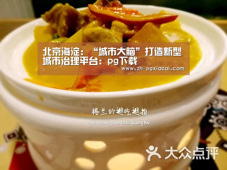 北京海淀:“城市大脑”打造新型城市治理平台:pg下载(图4) pg下载