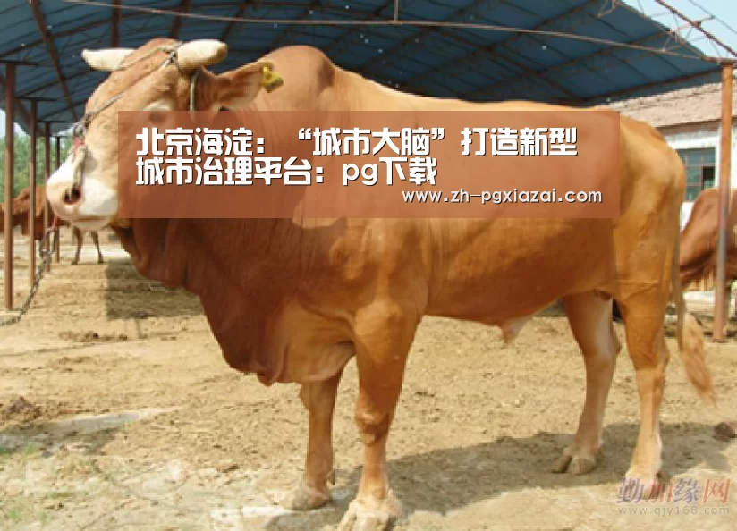北京海淀:“城市大脑”打造新型城市治理平台:pg下载(图2) pg下载