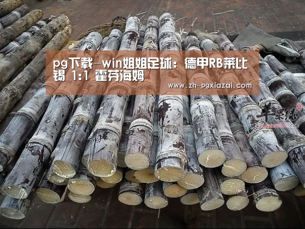 pg下载