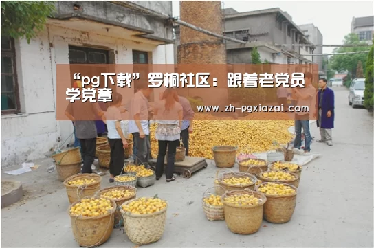 pg下载