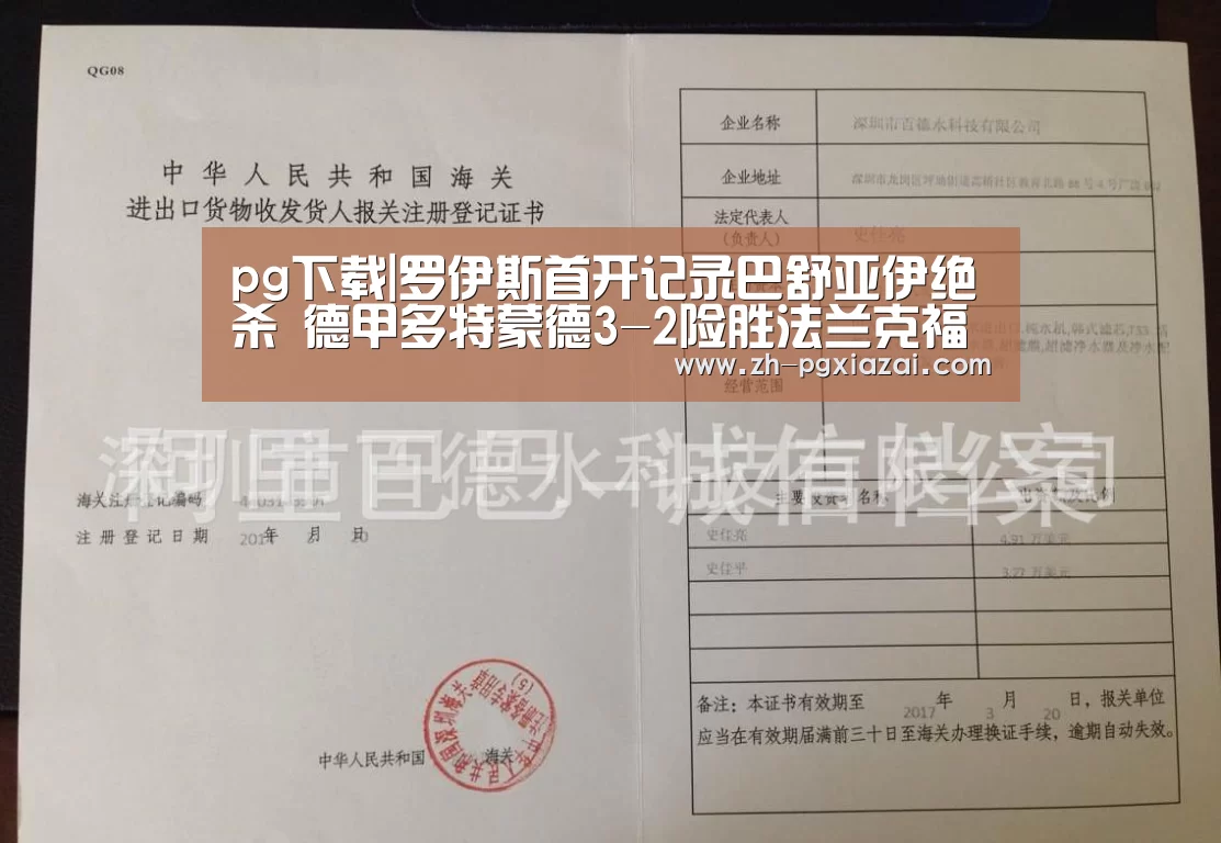 pg下载