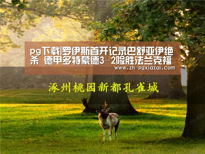 pg下载