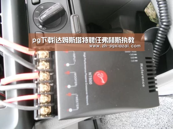 pg下载|达姆斯塔特聘任弗林斯执教(图2) pg下载