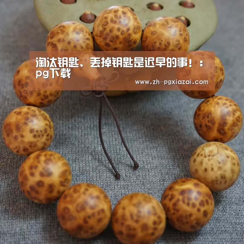 pg下载