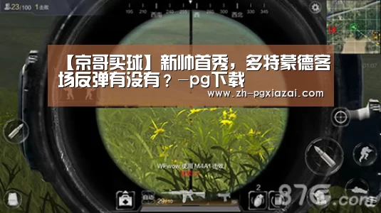 pg下载