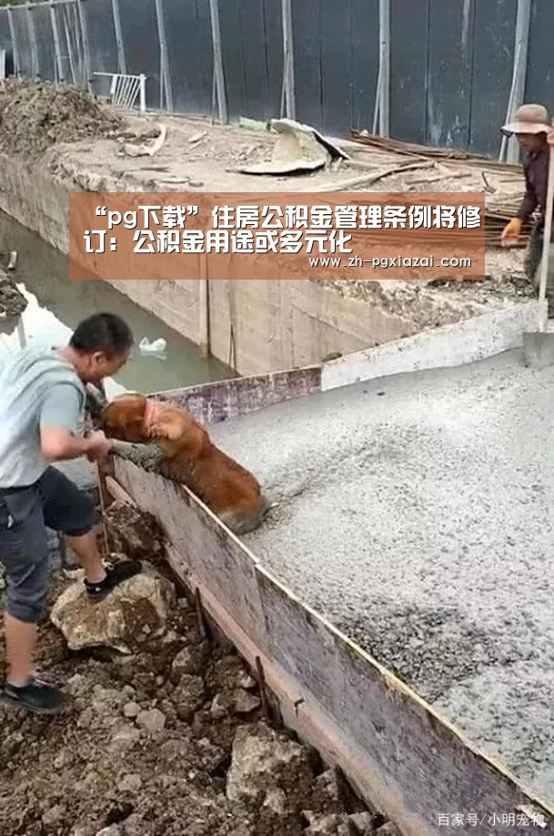 pg下载