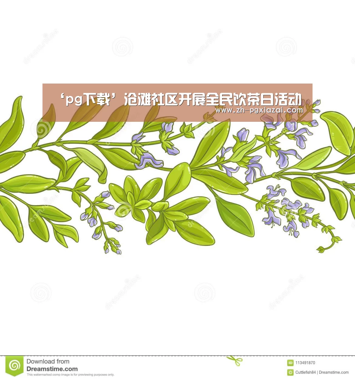 pg下载