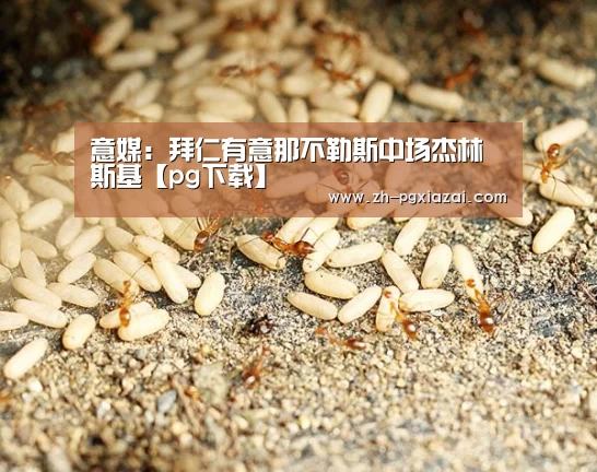 意媒:拜仁有意那不勒斯中场杰林斯基【pg下载】(图2) pg下载