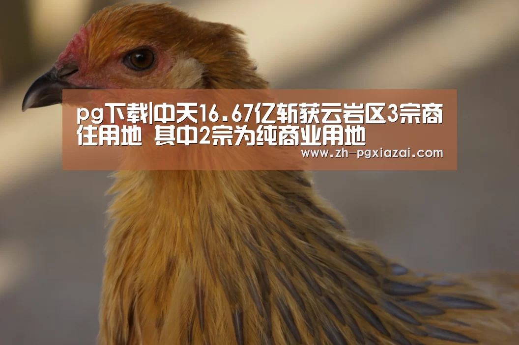 pg下载