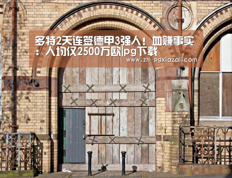 多特2天连签德甲3强人!血赚事实:人均仅2500万欧|pg下载(图1) pg下载
