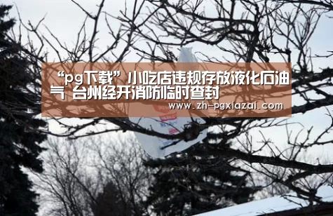 pg下载