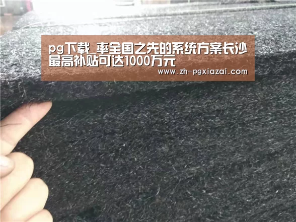 pg下载_率全国之先的系统方案长沙最高补贴可达1000万元(图1) pg下载
