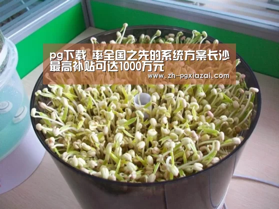 pg下载_率全国之先的系统方案长沙最高补贴可达1000万元(图3) pg下载