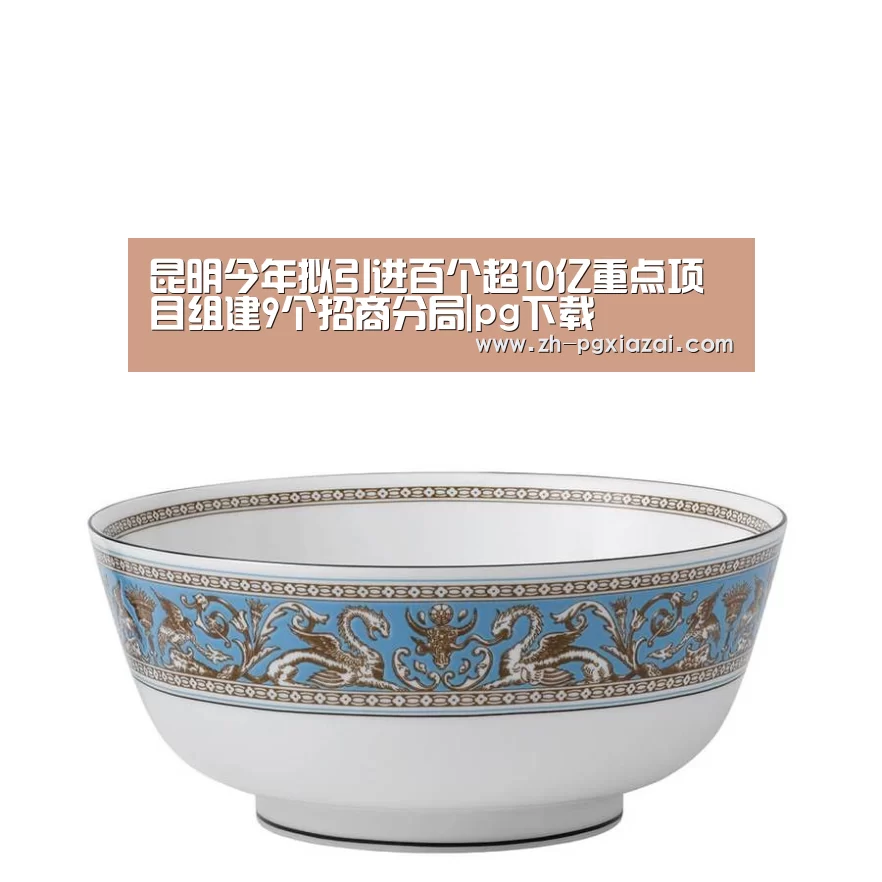 pg下载