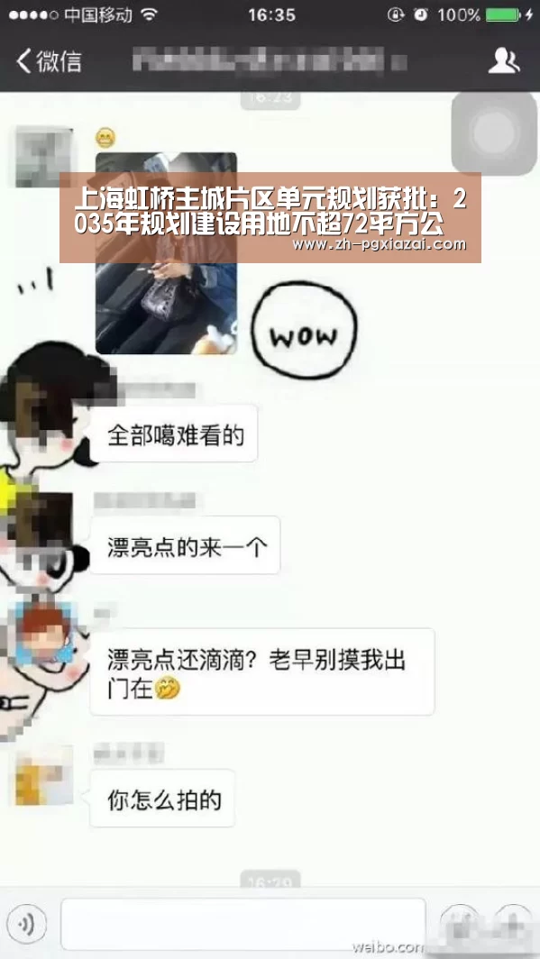 pg下载