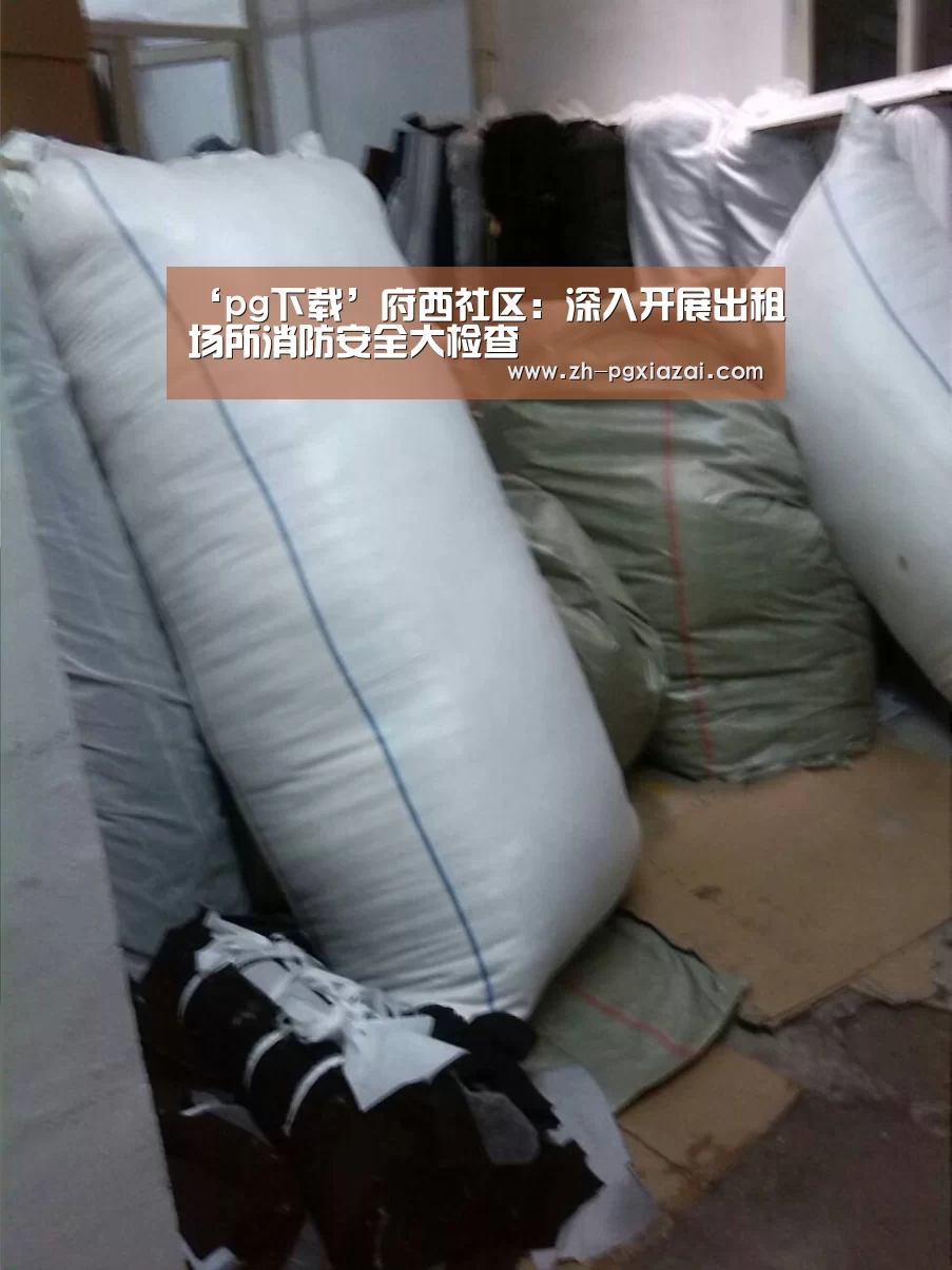pg下载
