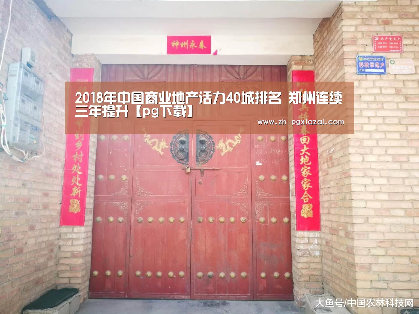 pg下载