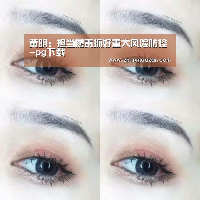 黄明:担当履责抓好重大风险防控-pg下载(图2) pg下载