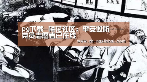 pg下载-梅花社区:平安巡防---党员志愿者已在线(图1) pg下载