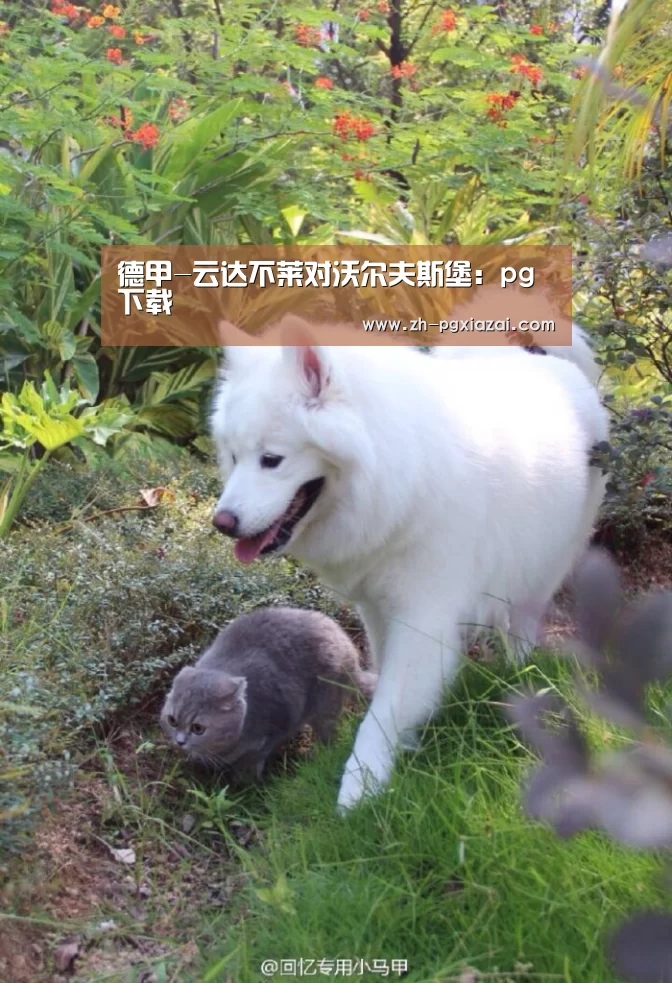 德甲-云达不莱对沃尔夫斯堡:pg下载(图1) pg下载