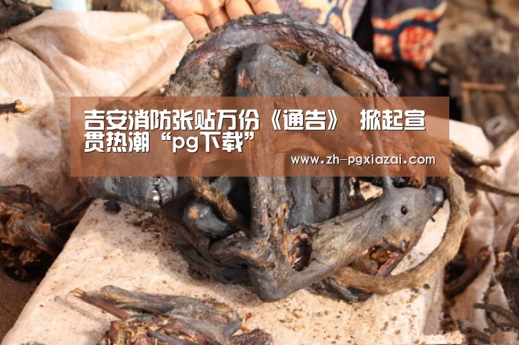pg下载