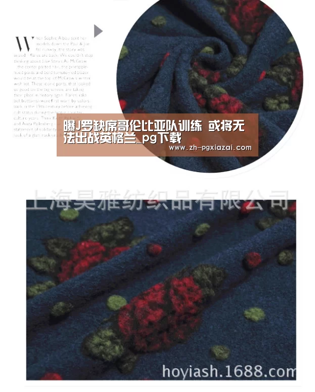 曝J罗缺席哥伦比亚队训练 或将无法出战英格兰_pg下载(图1) pg下载