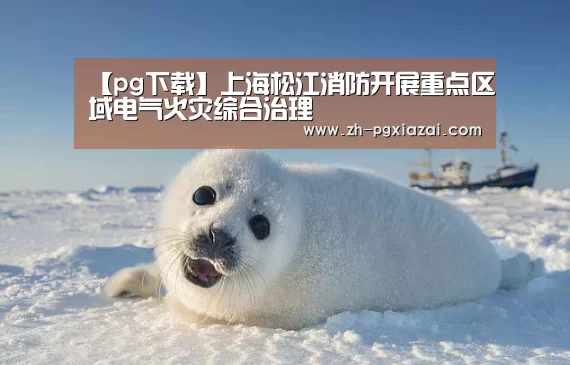 【pg下载】上海松江消防开展重点区域电气火灾综合治理(图1) pg下载